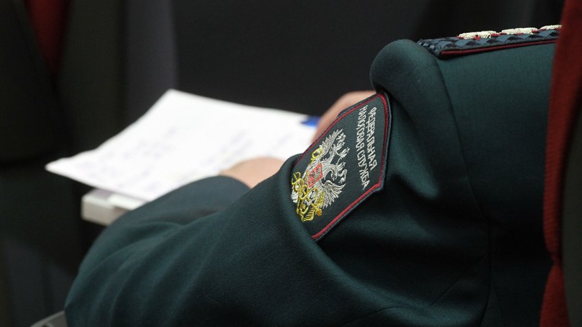 Камеральная налоговая проверка: основные правила и виды нарушений - «Недвижимость»