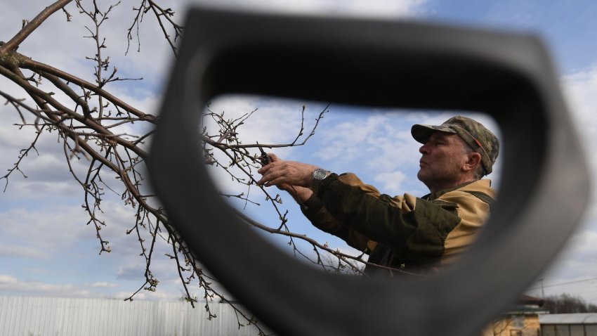 В России в два раза выросли продажи товаров для сада и дачи - «Недвижимость»