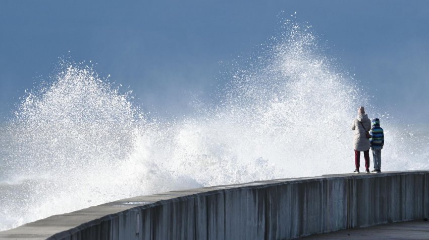 "Автодор" планирует начать строительство обхода Адлера в 2023 году - «Недвижимость»