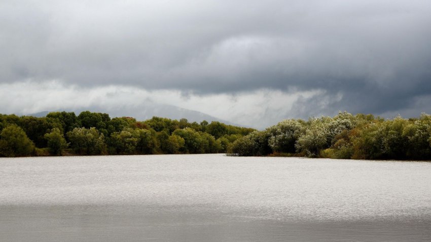 Путин поддержал строительство погранперехода на Большом Уссурийском - «Недвижимость»