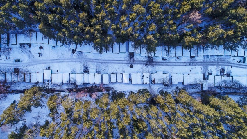 Россияне оформили более 318 тысяч гаражей и участков по гаражной амнистии - «Недвижимость»