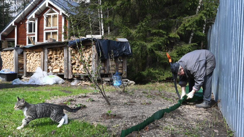 Юристы рассказали, за какие растения дачников оштрафуют в 2024 году - «Недвижимость»